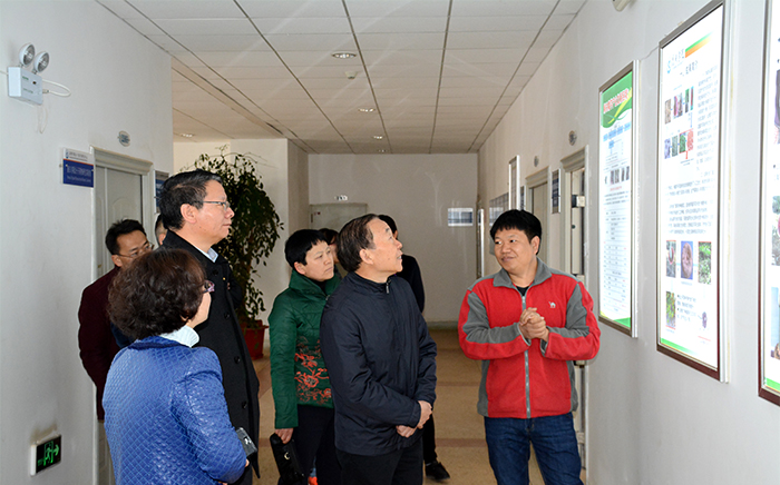 澳洲幸运5