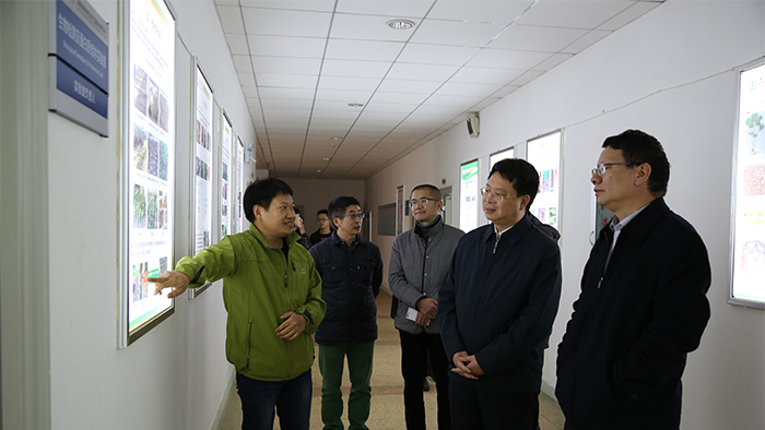 澳洲幸运5