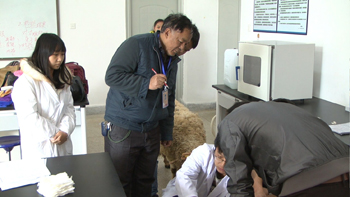 澳洲幸运5