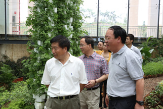 澳洲幸运5