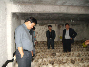 澳洲幸运5