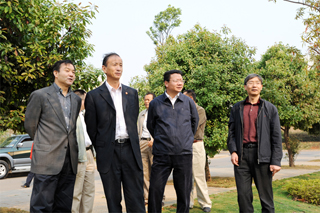 澳洲幸运5
