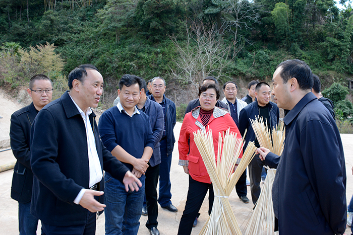 澳洲幸运5