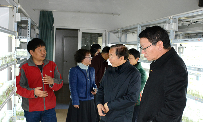 澳洲幸运5