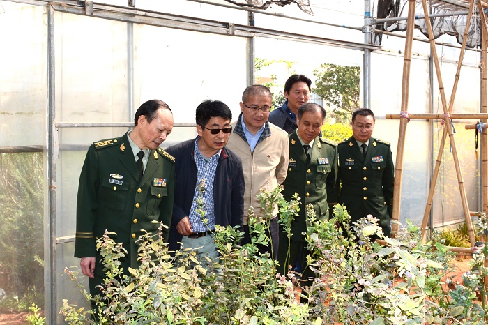 澳洲幸运5
