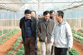 澳洲幸运5