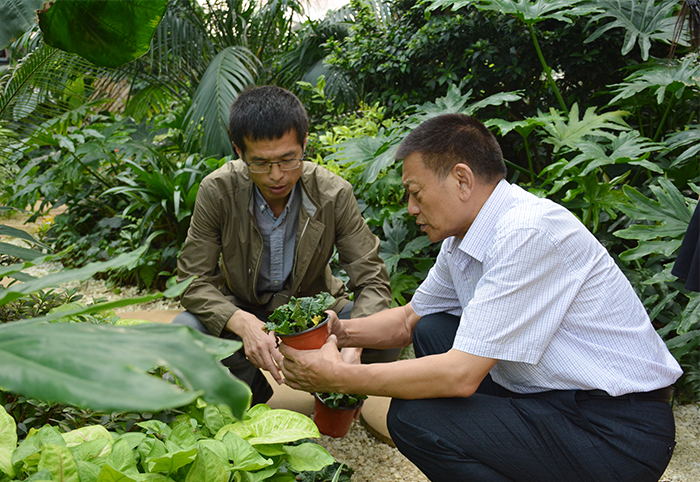 澳洲幸运5