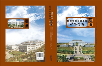 澳洲幸运5