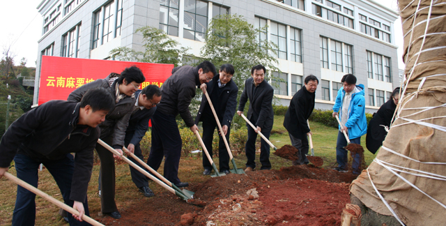 澳洲幸运5