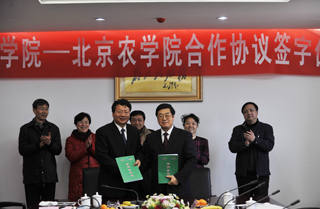 澳洲幸运5