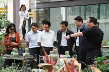 澳洲幸运5