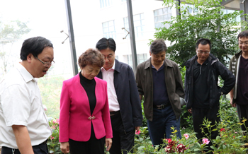澳洲幸运5