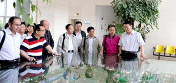 澳洲幸运5