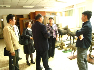 澳洲幸运5