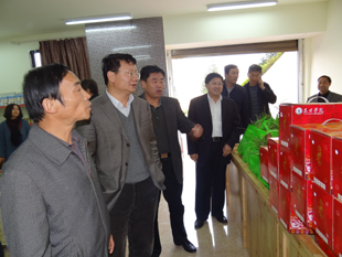 澳洲幸运5