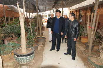 澳洲幸运5