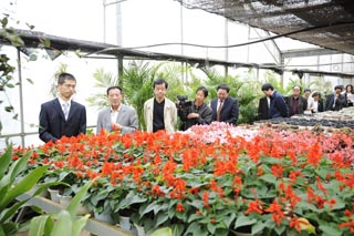 澳洲幸运5