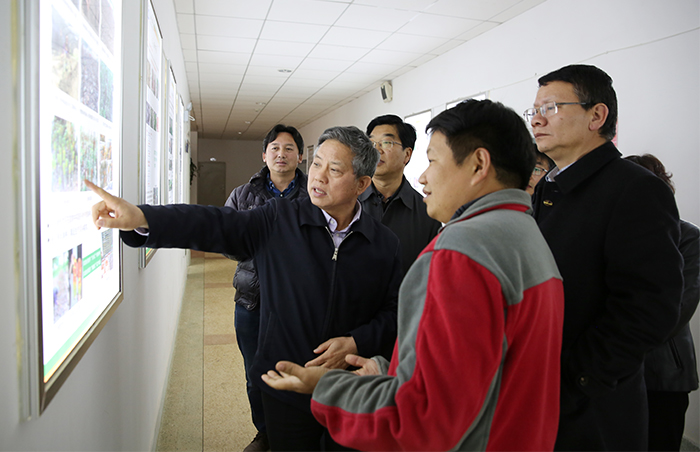 澳洲幸运5