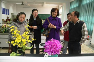 澳洲幸运5