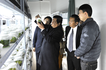 澳洲幸运5