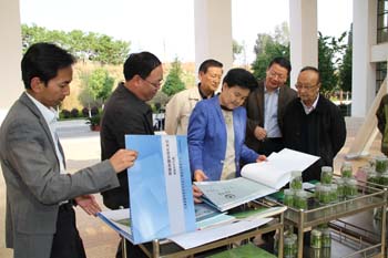 澳洲幸运5