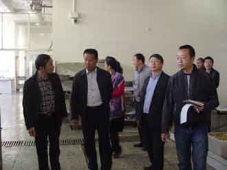 澳洲幸运5