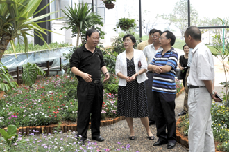 澳洲幸运5