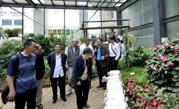 澳洲幸运5