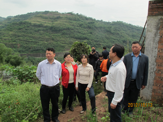 澳洲幸运5