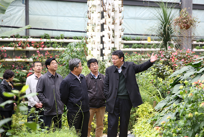 澳洲幸运5