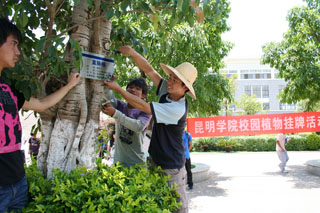 澳洲幸运5