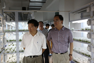 澳洲幸运5