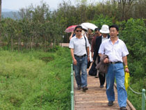 澳洲幸运5