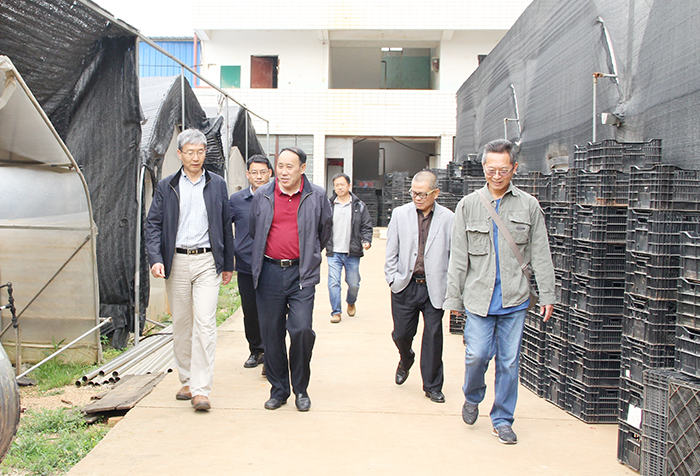 澳洲幸运5