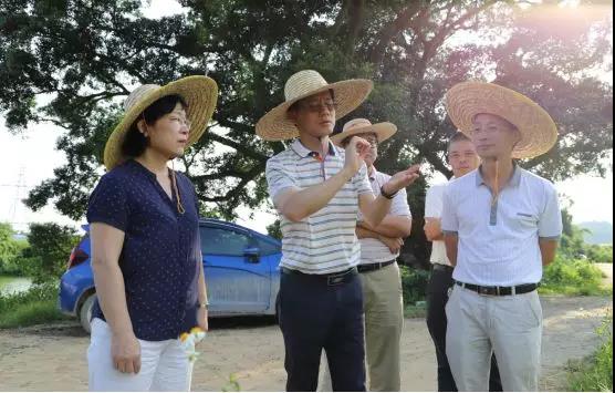 微信图片_20190604094141.jpg